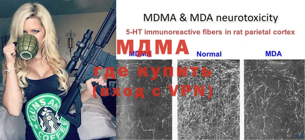 прущие грибы Абаза