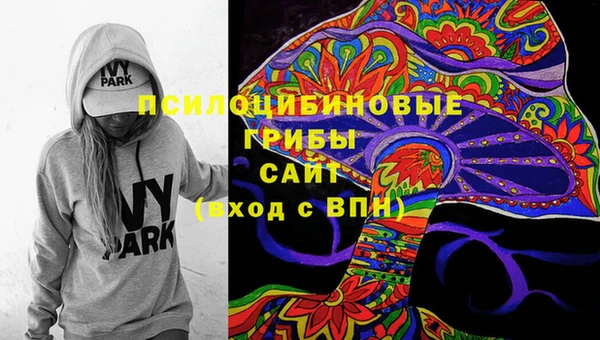 эйфоретик Алексин