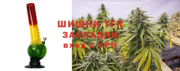 прущие грибы Абаза