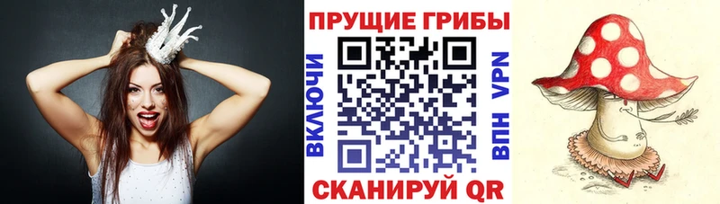 это наркотические препараты  купить закладку  Мамадыш  Галлюциногенные грибы мухоморы 